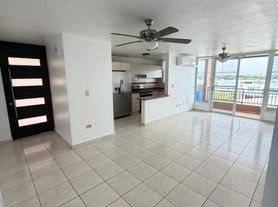 J314 Boulevard Pedro, Guaynabo, PR