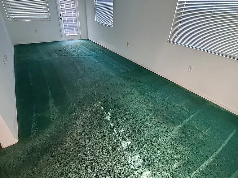 6087 Kittiwake Dr — Photo 20