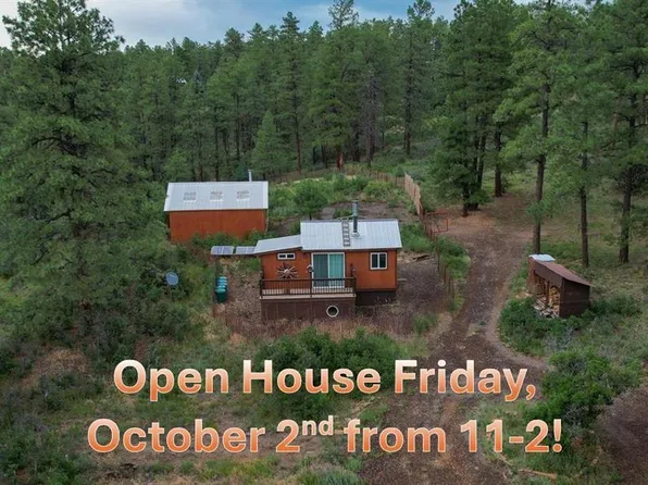 51 Rocky Ridge 3, Pagosa Springs, CO 81147