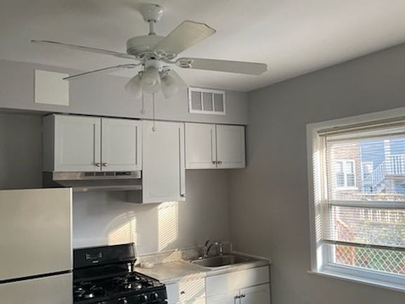3rd image of 4940 S Wolcott Ave #1R