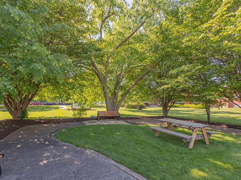 Picnic Area