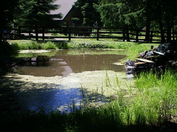 2nd image of 16725 Rainbow Ln E