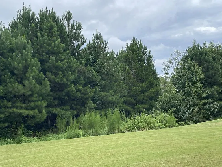 2415 Matlin Way — Photo 33