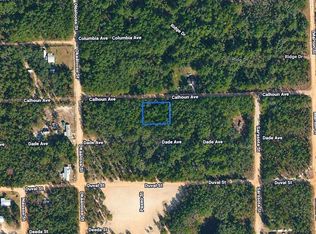 313 CALHOUN AVENUE LOT 7, FLORAHOME, FL 32140