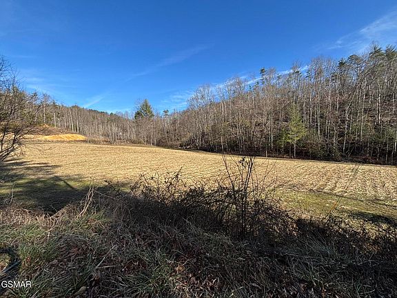 3rd image of TRACT 1 Bull Mountain Rd