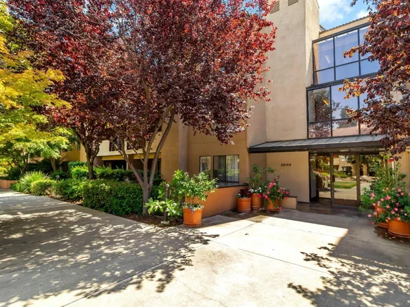 39109 Guardino Dr APT 226, Fremont, CA 94538