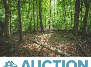 Tbd Dogwood Mountain Ln, Woolwine, VA 24185