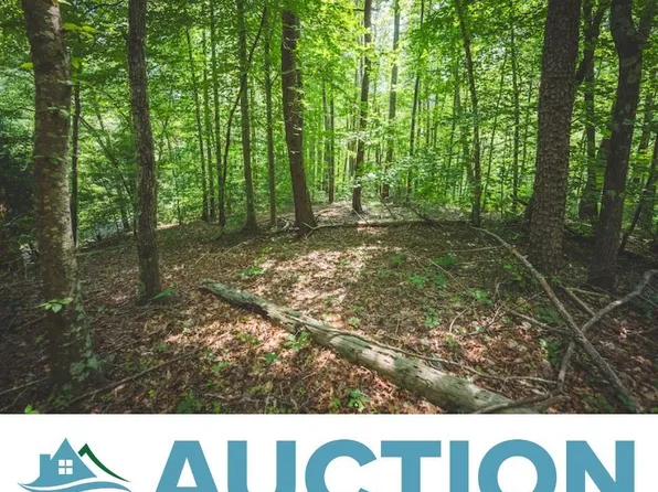 Tbd Dogwood Mountain Ln, Woolwine, VA 24185