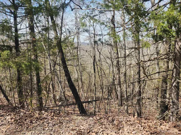 L-43-B Warclub Dr #4, Cherokee Village, AR 72529