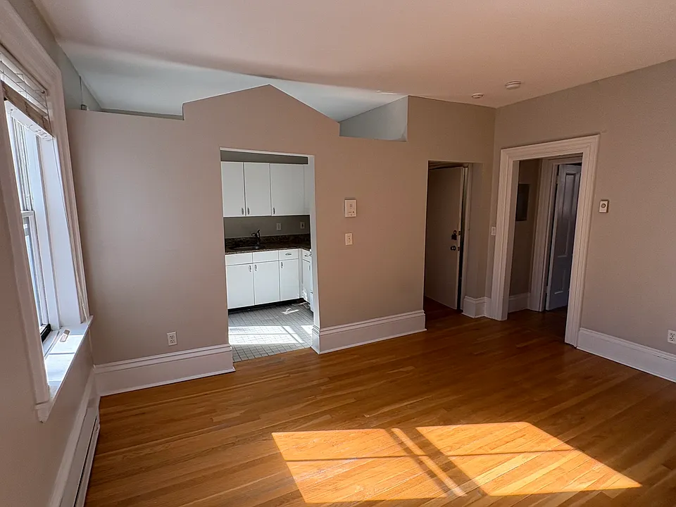 56 E Springfield St #3B