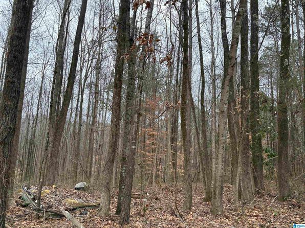 1517 Union Grove Rd #1, Adamsville, AL 35005