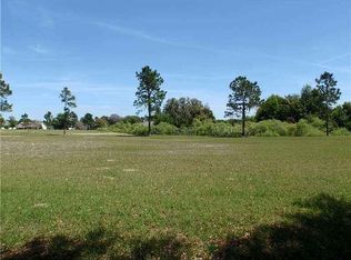 551 Dowling Cir, Lady Lake, FL 32159