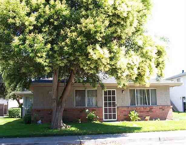 1st image of 34836 Starling Dr APT 2