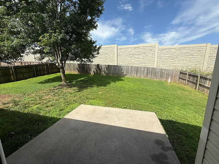 back yard