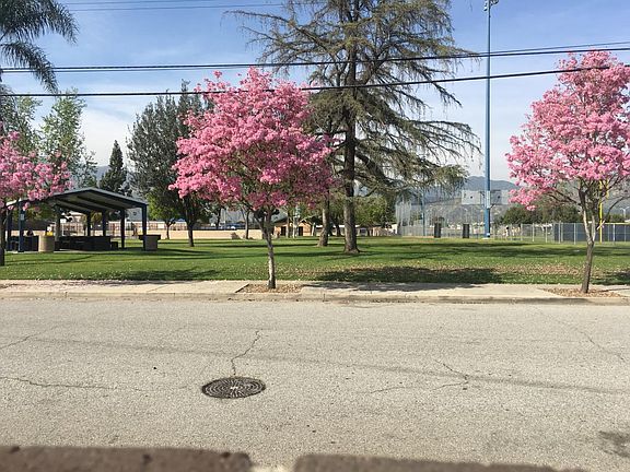 Park Across the Street