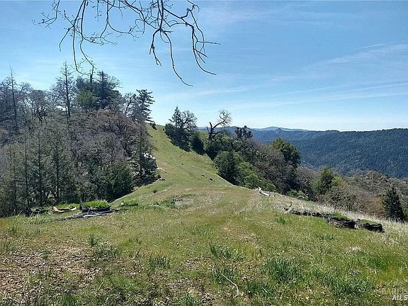 2nd image of 15501 Ridgeview Road