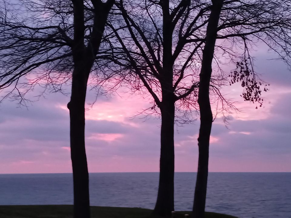 2426 Shoreham Dr, Saint Joseph, MI 49085 Zillow