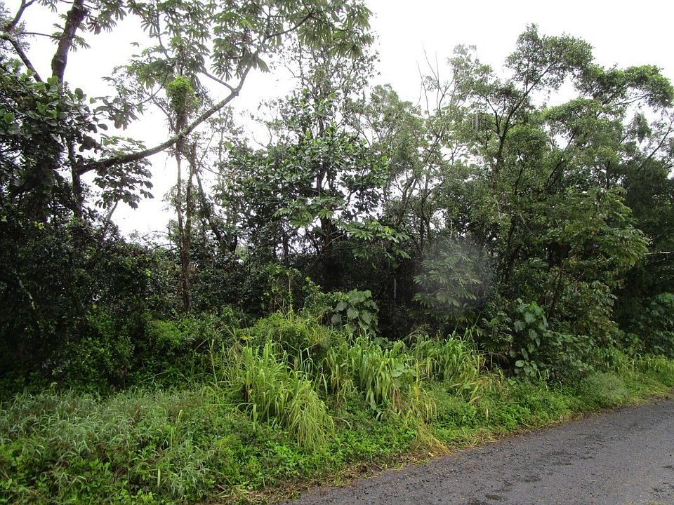 2nd image of 11th Avenue Kika Lot 1539