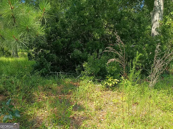 Lots 29 & 30 Pine Acres Dr, Milan, GA 31060