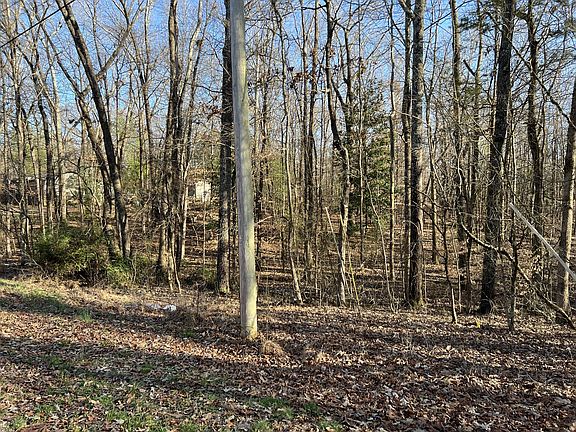 5th image of 1 Oak Leaf Cir Lot 11