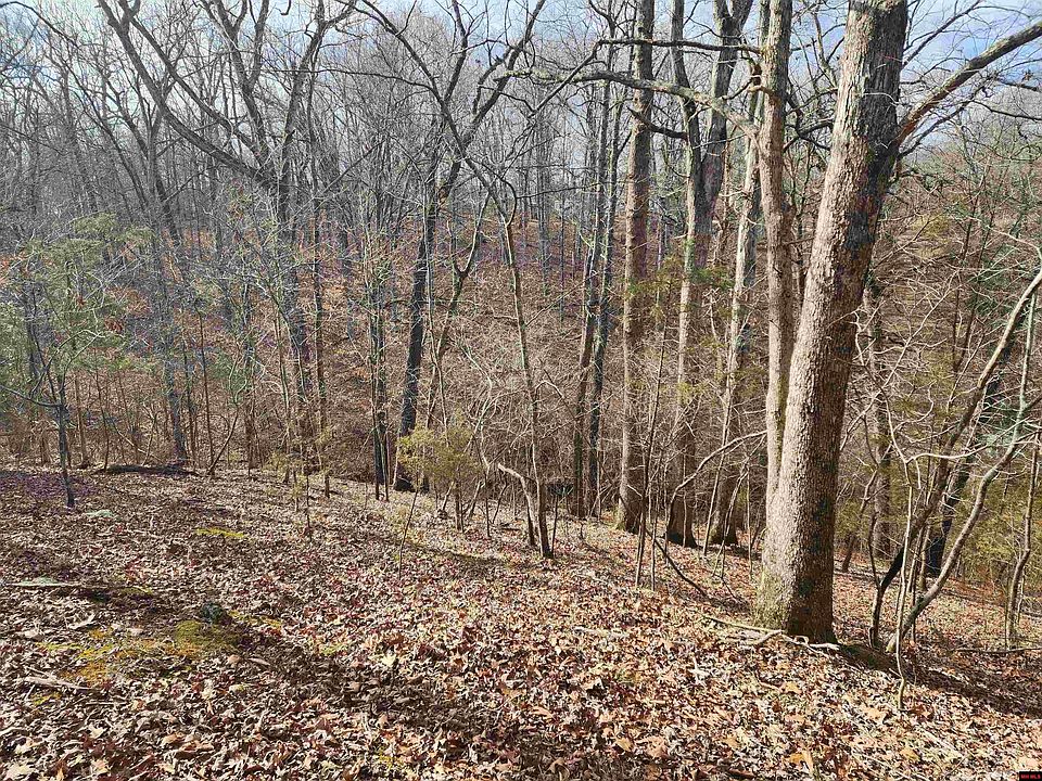 5 & 6 Lakeshore Dr, Bull Shoals, AR 72619 MLS 125659 Zillow