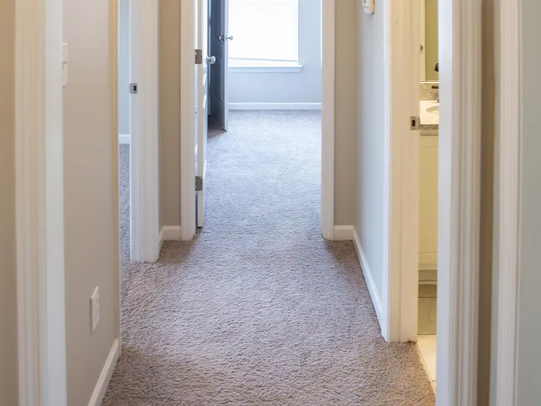 113 Haven Ridge Rd — Photo 8