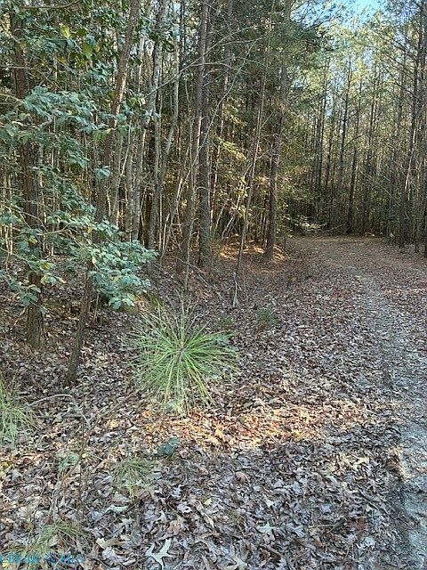 2nd image of 0 Horse Run Rd Lot 2