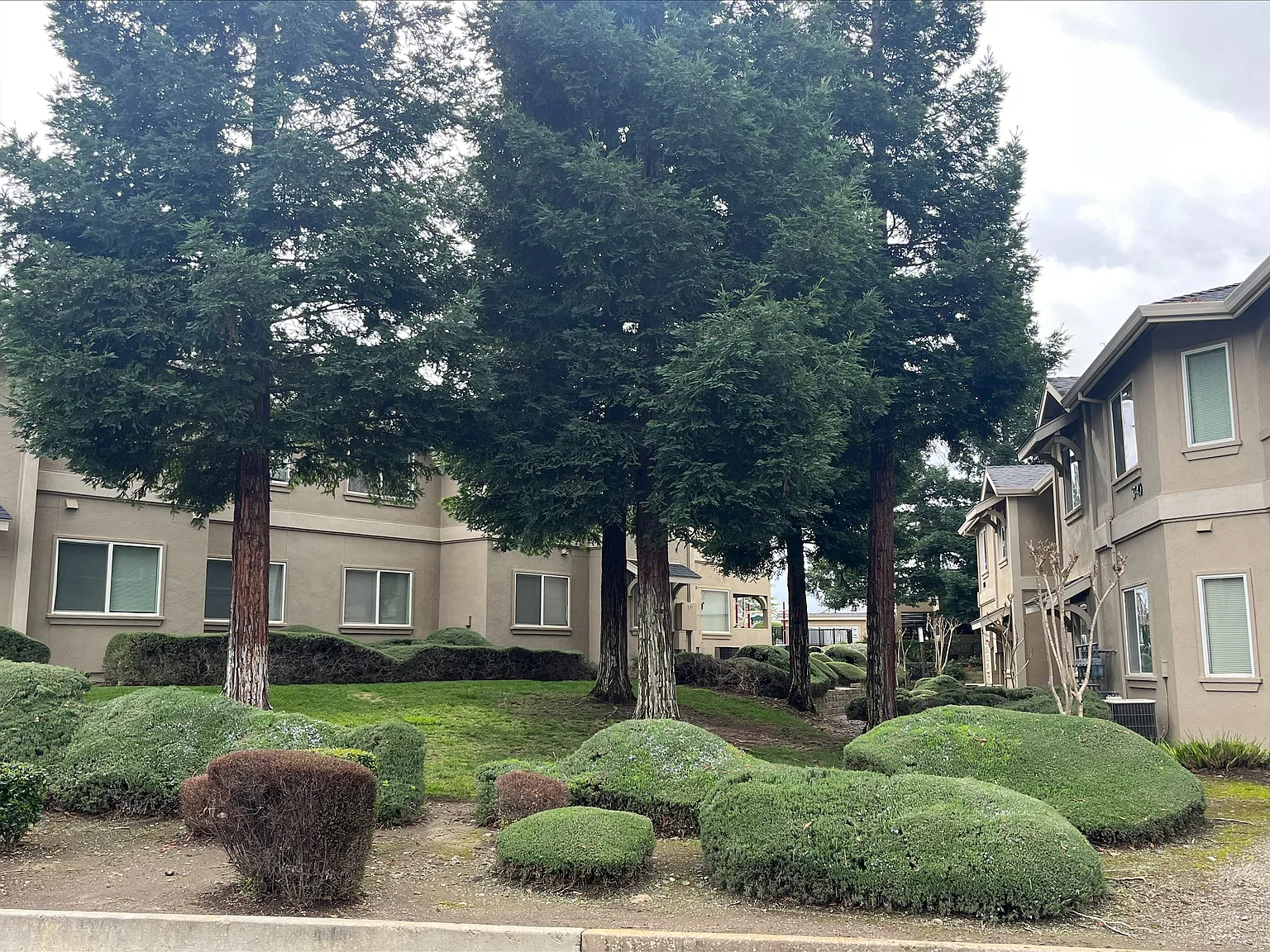 Yosemite Terrace Apartments — Photo 4