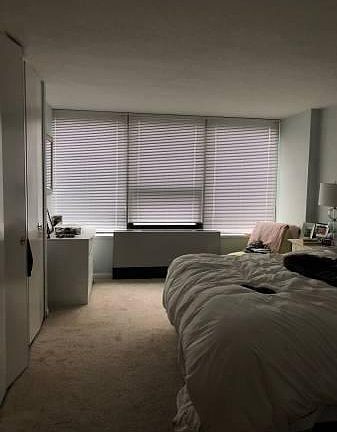 4th image of 1560 N Sandburg Ter APT 501
