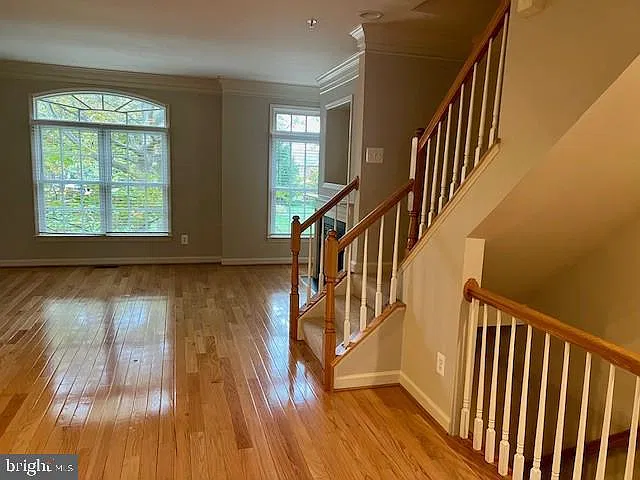3 bed, 3.5 bath, 1688 sqft, $3,850 — Photo 3