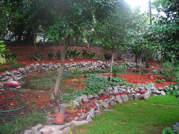 Top half of backyard