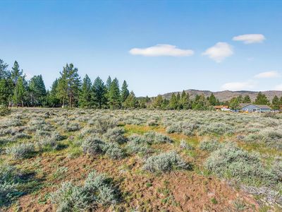 171 Smithneck Rd, Loyalton, CA, 96118