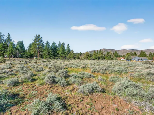 171 Smithneck Rd, Loyalton, CA 96118