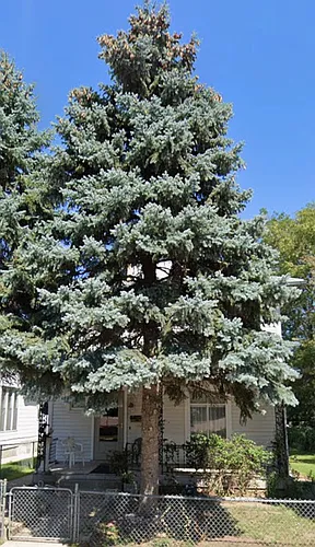 919 7th St Photo 1
