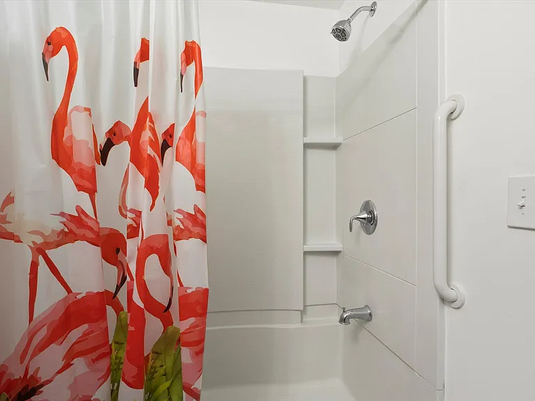 Basement Bathroom