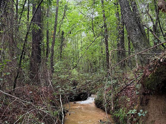 3rd image of 157 Walker Bottom Rd