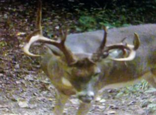 0 Kings Chapel Rd, Crown City, OH 45623