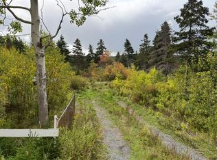 50 East Hwy #48, Victoria, NL A0A3B0