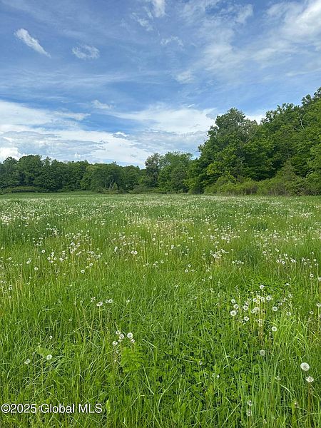 2nd image of L 12.9 Mountainside Meadow Way
