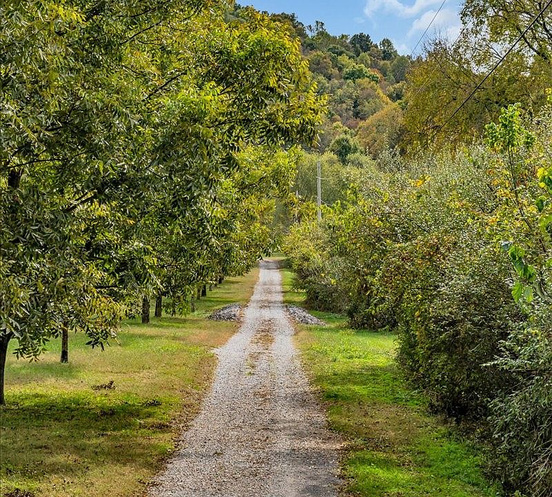 46th image of this home