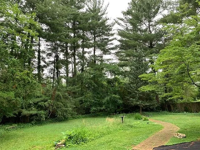 121 N Lexington Dr — Photo 3