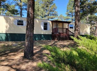 304 Fireside St, Pagosa Springs, CO 81147