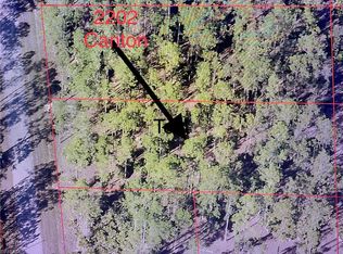 2202 Canton Ave, Alva, FL 33920