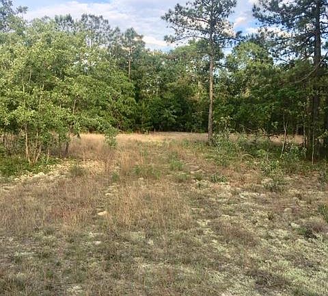 3rd image of 300 Fish Farm Rd