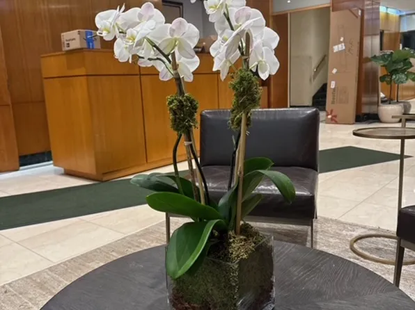 411 East 53rd Street image 1 of 6