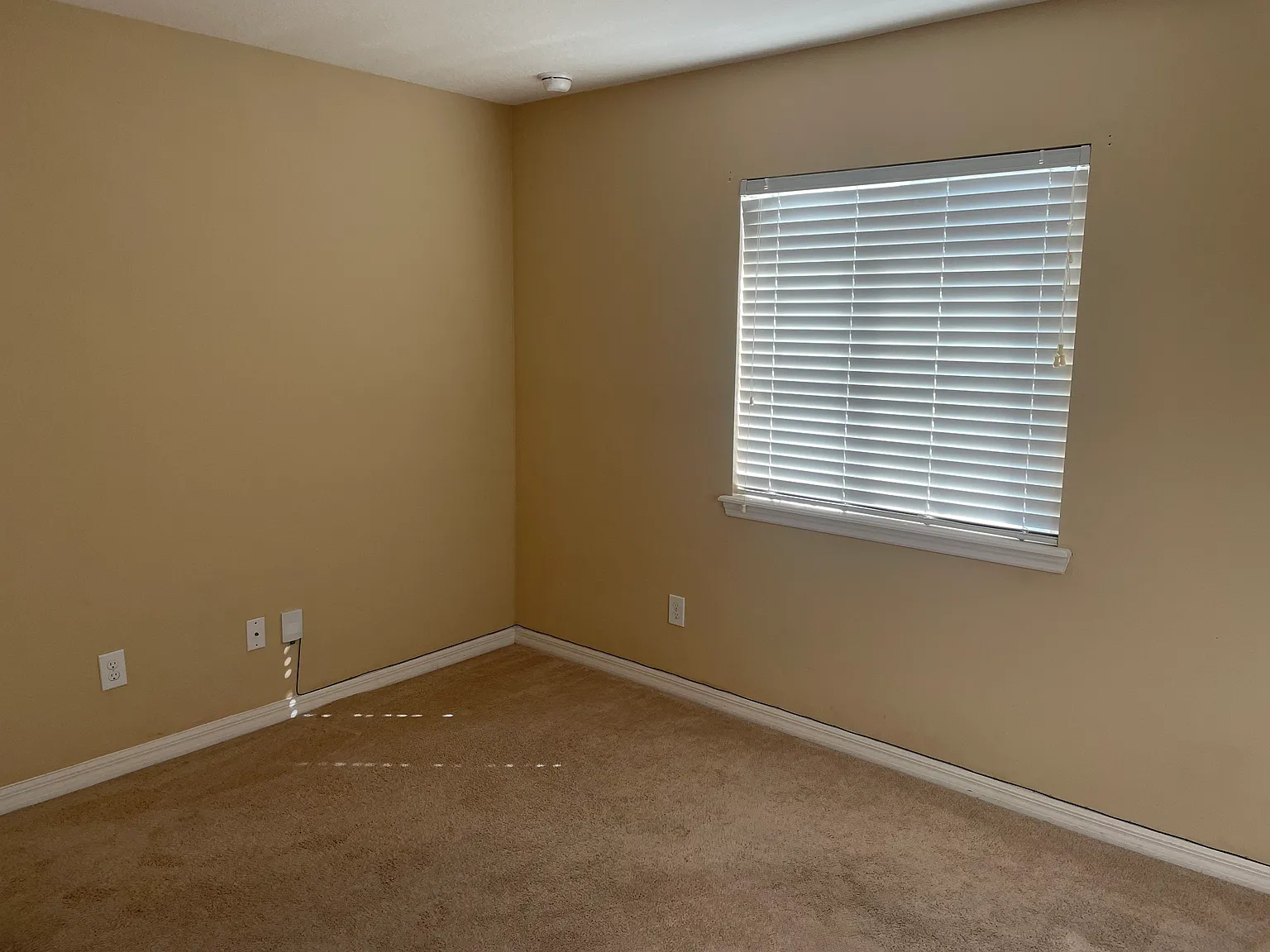 3 bed, 1901 sqft, $2,400 — Photo 3
