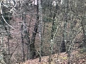 1st image of 140 Bent Tree Ln