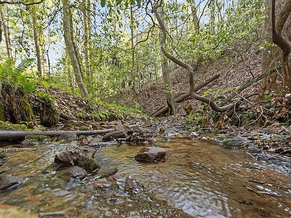 4th image of 0 Poplar Hollow Rd #13