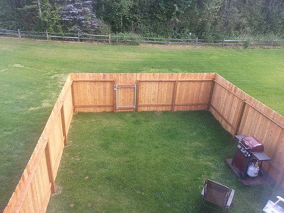 New Fence