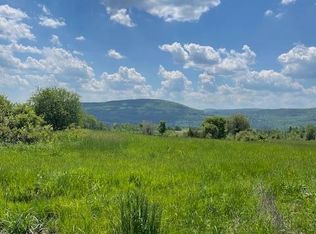 Robinson Rd, Howes Cave, NY 12092